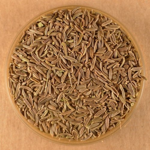 Cumin Seeds, Whole Black - 5 lbs Bulk