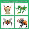 KAZI Bugs Building Toy Set,Insect Collection Building Blocks Including 8 Different Bug,STEM Toys for Kids Age 8 and Up,Play and Display Gift Idea for Boys and Girls