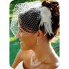White Birdcage Veil & Flower Feather Fascinator Comb