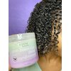 EDEN BodyWorks Lavender Aloe Anti-Breakage Deep Conditioner (16 oz) - Hair Treatment to Strengthen & Enhance Hair Elasticity