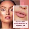 ZHISHUDL Matte Nude Lipstick Velvet Heart Shaped Lip Stick,Nude Lip Stain Lip Tint Long Lasting Non Stick Cup Neutral Lipstick for Women - 03 Nude