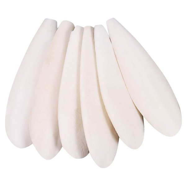 Mivofun Cuttlebone for Birds Parakeets Canaries Cockatiels Small Conures Mynahs Toucans African Greys All Parrots Snails Totoise,Natural Cuttlefish Bone for Bird Cage (7"-7.5"(Pack of 6))