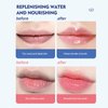 4 tastes lip balm and moisutriser, for lip hydrating and moisturziing