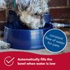 Coastal Pet Bergan Auto-Wata - Outdoor Dog & Cat Water Dispenser - Automatic Water Bowl for Pets - Made from Durable, BPA-Free Plastic - Self-Watering Cat & Dog Bowl - Navy, 48 Ounces