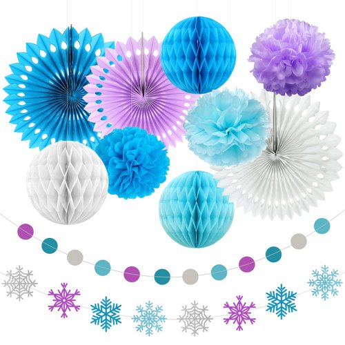 Frozen Birthday Party Decorations Includes Snowflake Banner Paper Lanterns,Tissue Pom Poms Fan, Birthday Decorations for Boys Girls