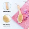 Exfoliating Body Scrubber: Dual-Use for Wet/Dry Exfoliation, Lymphatic Drainage & Cellulite Smoothing - Natural Boar Bristle Dry Brushing Body Brush, Ergonomic Handle, Easy to Clean by Rengöra