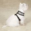 Casual Canine Reflective Pawprint Dog Harness, Small, Black