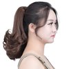 Brown Ponytail Extension,Claw Clip Ponytails 12in Curly 3.8 OZ Fake Hair Extensions Hair pieces SYXLCYGG Wig Girl Synthetic Fluffy¬ Tangled