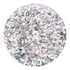 GLITTIES - (6PK) - Holographic Gold & Silver Glitter Kit - Solvent Resistant & Great for Nail Art Polish, Gels, Acrylics Supplies - Quality Glitter Made in the USA! - (60 Grams)