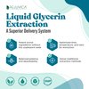 NerveFactor - Advanced Nerve Support Supplement - Liquid Delivery for Better Absorption - Acetyl-L-Carnitine, Alpha Lipoic Acid, Vitamin B12, Folic Acid, White Willow Bark & More!
