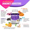 10 in 1 Immunity Boost Immune Support Supplement – 1650mg Made with Elderberry, Vitamin C, Zinc, Echinacea & Probiotics for Immune System Booster, Support Healthy Respiratory System, 2x 60 Capsule