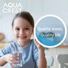AQUA CREST FQK1K Under Sink Water Filter, 1350 Gallons, Replacement for GE FQK1K, FQK2J, GXK185K and GX1S50R (Pack of 2)