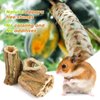 Abizoo Natural Bunny Chew Toys,6 Pcs Organic Papaya Wood Sticks Chew Toys for Rabbit,Hamster,Guinea Pig,Chinchilla,Gerbil,Rat Healthy Chews Teeth Grinding Treats, Squirrel Molar Snack