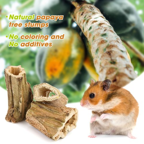 Abizoo Natural Bunny Chew Toys,6 Pcs Organic Papaya Wood Sticks Chew Toys for Rabbit,Hamster,Guinea Pig,Chinchilla,Gerbil,Rat Healthy Chews Teeth Grinding Treats, Squirrel Molar Snack