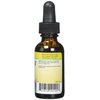 Herbs for Kids Willow/Garlic Ear Oil, Unscented (Btl-Glass) | 1oz