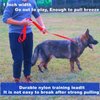 Siumouhoi Strong Durable Nylon Dog Training Leash, 1 Inch Wide Traction Rope, 6 ft 10ft 15ft Long, for Small and Medium Dog (Black, 10 Feet)