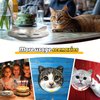 NeusWonder 60 Pcs Cat Party Plates, Cat Birthday Decorations, Disposable Paper Cat Theme Decoration for Baby Shower Party Favors Decorations Kids Birthday Party ﻿