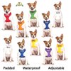 NO DOGS Orange Color Coded Semi-Choke Dog Collar (Not Good with Other Dogs) Prevents Accidents by Warning Others of Your Dog in Advance