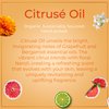 SAFA Citruse Oil - Organic Vitamin C Face & Body Oil with Grapefruit, Neroli, Bergamot & Marigold for Radiant, Hydrated Skin | Essential Oil for Diffuser & Aromatherapy - 4 Fl Oz