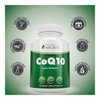 Purely Holistic CoQ10 100mg - 240 SoftGels - 8 Month Supply - Ubiquinone Coenzyme Q10 Supplement - with Organic Olive Oil - Soy Free Co Q 10 - Made in The USA
