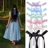 DEEINN Double Bowknot Hair Clips - 6pcs Tassel Ribbon Hair Clips With Long Tails for Women