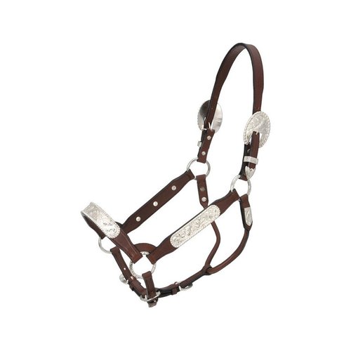 Royal King Congress Show Halter Yearling
