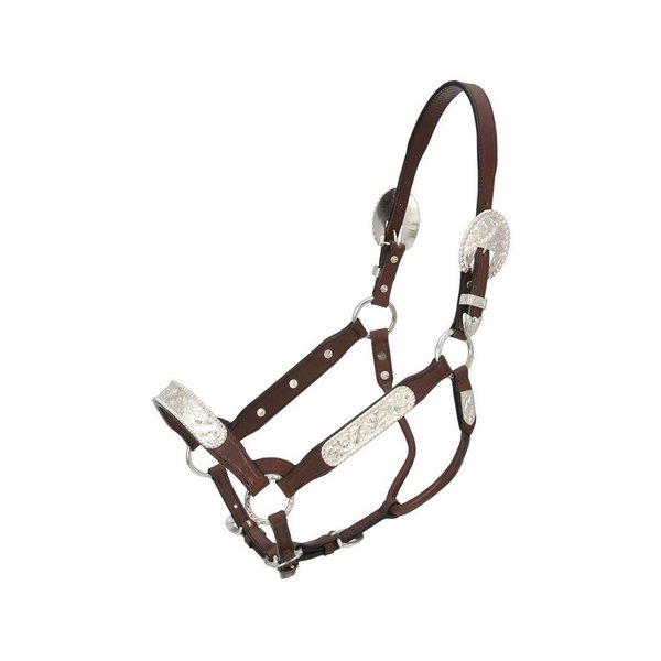Royal King Congress Show Halter Yearling