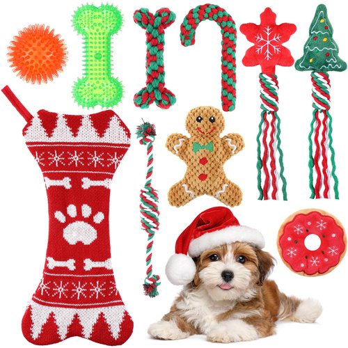 JellyArch 10 Pcs Christmas Dog Toys Gifts Dog Christmas Stocking with Rope Toys and Ball Squeaker Toys Squeaky Plush Toys Chew Toys for Teething Dog Gifts Xmas Gifts for Puppy Small Medium Dog
