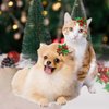 Tongcloud 20 pcs Pet Dog Cat Hair Bows for Xmas Dog Puppy Cat Christmas Hair Bows Hair Accessories with Rubber Bands