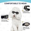 Petleso Dog Goggles Medium Breed, Dog Sunglasses for Medium Dogs Eye Protection Windproof, Black