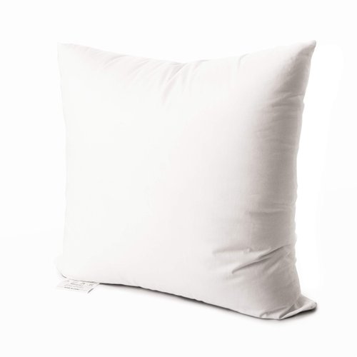 EDOW Luxury Throw Pillow Insert, Soft Fluffy Down Alternative Polyester Square Form Decorative Pillow Insert,Sham Stuffer,Cotton Cover for Sofa, Couch,Bed and Car. (White, 24x24)