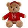 Galatee 11.8'' Teddy Bear Stuffed Animal Plush Toy,Cute Bear Plush Pillow with Hoodie,Plush Toy for Kids(Red)