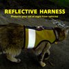 Kitty Holster Reflective Cat Harness - High-Visibility Cat Vest for Day & Night, Secure & Breathable Cotton, Ideal for Walking & Traveling, Breathable and Washable Cotton - Sunshine Yellow, XS