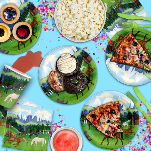 Wild Horses Birthday Party Supplies Set Plates Napkins Cups Tableware Kit for 16