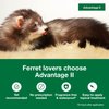 Advantage II Ferret Vet-Recommended Flea Treatment & Prevention | Ferret 1+ lbs. | 2-Month Supply