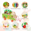 DUCOMINGTOY Montessori Wooden Educational Toys Includes Carrot Harvest Game Sorting and Stacking Toys Magnetic Fishing Game Montessori Wooden Activity Bus Walk-A-Long Toy Truck for Boys Girls Kids…