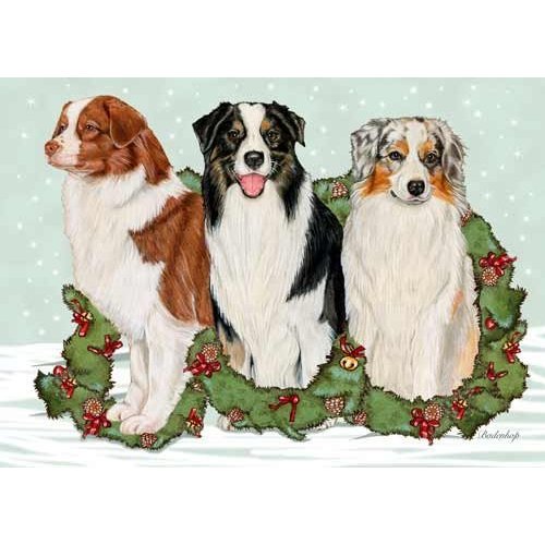 Australian Shepherd Christmas Cards : 10 Holiday Cards with White Envelopes - Adorable!