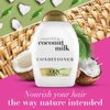 ORGANIX COCONUT MILK COND 13 OZ