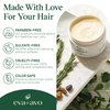 Eva + Avo Hair Conditioning Mask, Deep Conditioner for Dry Damaged Hair - Hydrating Hair Mask with Avocado, 8 Fl Oz - Paraben and Sulfate-Free