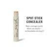 Jillian Dempsey Spot Stick Concealer | Easy Blending Matte Concealer for Blemishes & Uneven Skin Tones | Shade No. 06: Light-Medium with Yellow Undertones