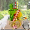 Generic Bird Toys Parrot Toys Chewing Shredding Foraging Coconut Shell Toys for Conure Cockatiel Budgies Parakeet Sun Conure African Grey Caique Quaker Small Cockatoo Mini Macaw