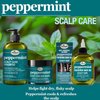 Difeel Peppermint Scalp Care Hair Mask 12oz and Premium Hair Oil 8oz 2-PC Set