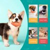 Nobleza Dog Football, Interactive Lightweight Tough Squeaky Dog Toys That Float and Bounce for Teething and Teeth Cleaning, Natural Rubber Durable Football Dog Toy for Small and Medium Breeds, Orange