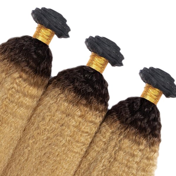 1B27 Kinky Straight Bundles Honey Blonde Human Hair Bundles 14 16 18 Inch Peruvian Virgin Hair Extensions 2 Tone Black and Blonde Bundles 1B27 Kinky Straight Bundles