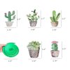 HADEEONG Cactus Hawaiian Party Decorations Hanging Swirl Decorations - Mexican Fiesta Party Decorations Ceiling Decor, Birthday Baby Shower Favor Supplies Decor 30pcs