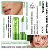 4PCS Aloe Vera Color Changing Lipstick,Temperature Color Change Lip Gloss Makeup Set,Waterproof Long Lasting Aloe Vera Tinted Lip Balm Moisturizer,Moisturizing PH Mood Magic Lipstick for Women