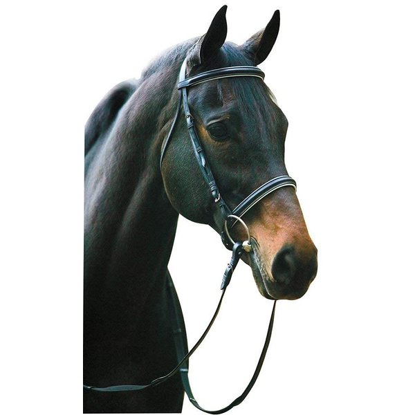 Henri De Rivel Dressage Bridle Horse Black
