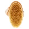 Fantasea Natural Bristle Body Brush