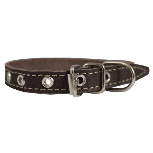 Brown Real Leather Dog Collar 9.5"-13" Neck Size, 1/2" Wide Yorkshire Terrier, Puppies