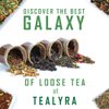 Tealyra - Echinacea ImmuneTEA - Fennel Mint Lemongrass Cinnamon - Detox Wellness Herbal Loose Leaf Tea - Caffeine Free - 112g (4-ounce)
